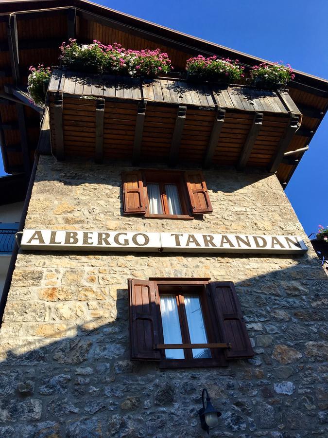Albergo Meuble Tarandan Forni di Sopra Exteriér fotografie