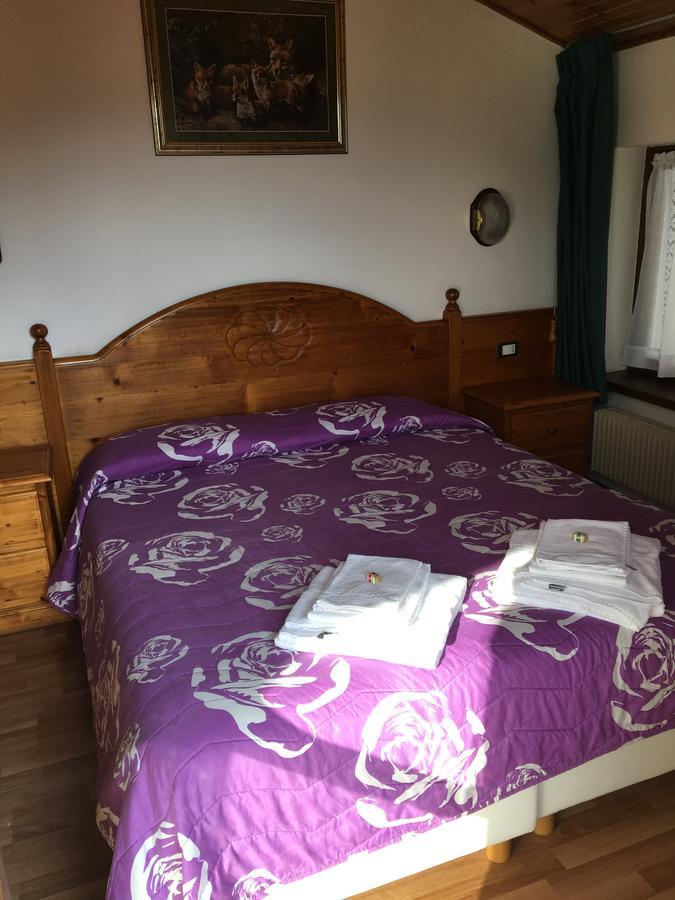 Albergo Meuble Tarandan Forni di Sopra Exteriér fotografie